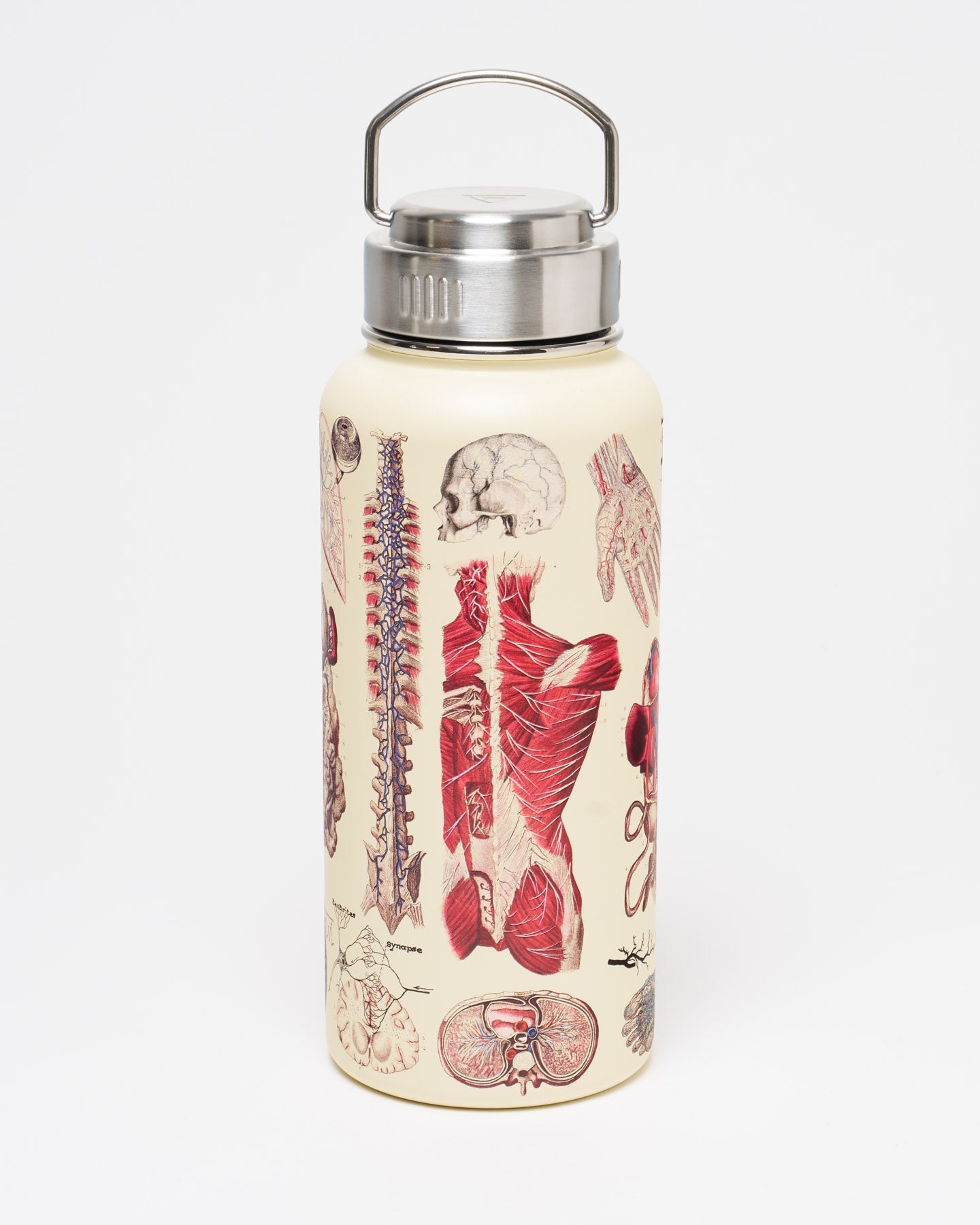 Anatomy 32 oz Steel Bottle