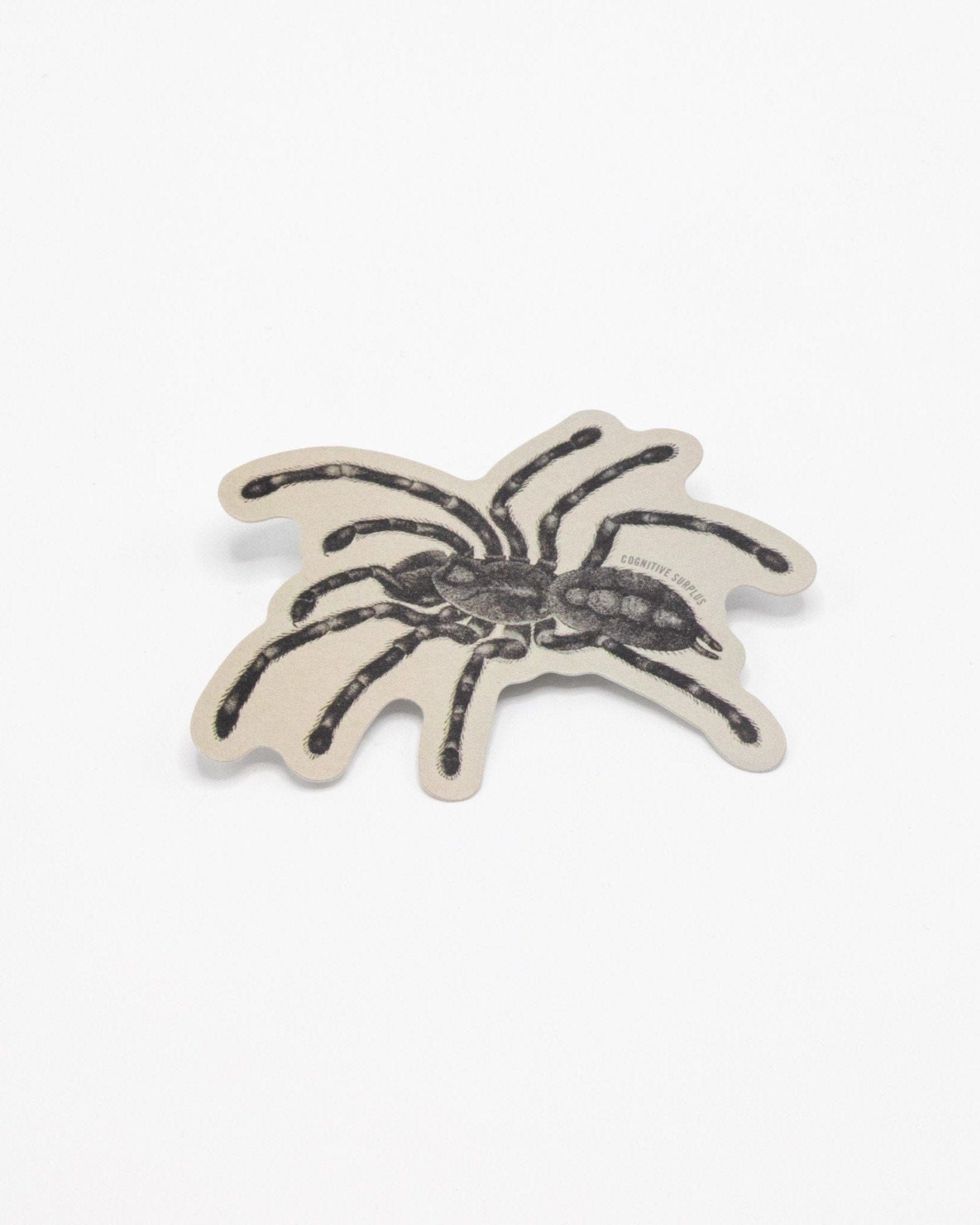 Tarantula Spider Sticker Cognitive Surplus