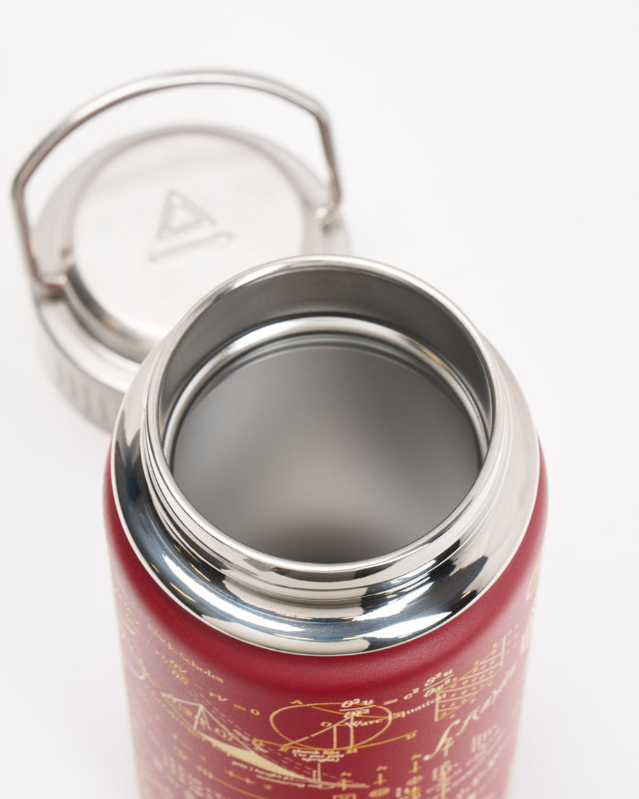 Equations That Changed the World 12 oz Steel Bottle