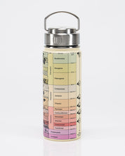 Core Sample 18 oz Steel Bottle - Cream