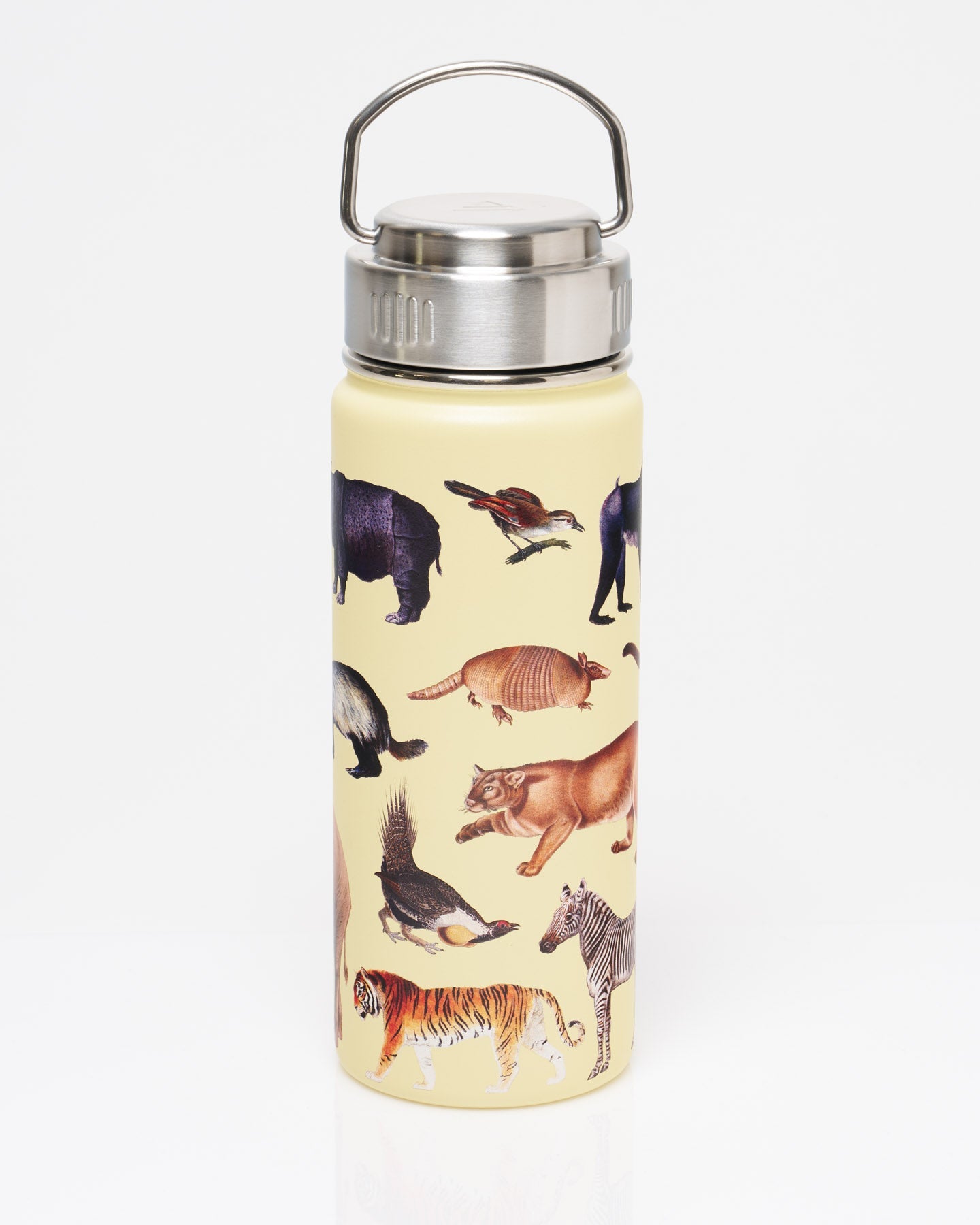 Grassland Zoology 18 oz Steel Bottle