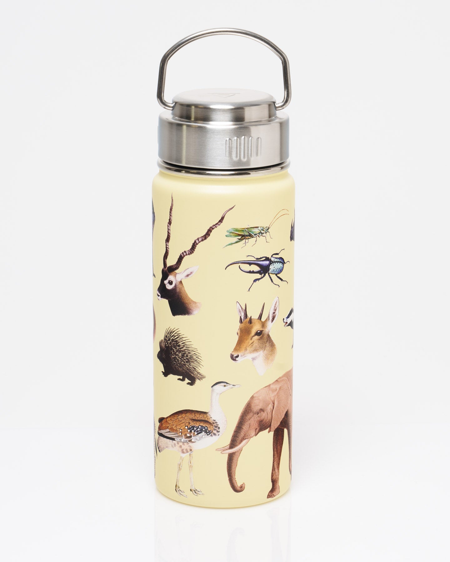 Grassland Zoology 18 oz Steel Bottle