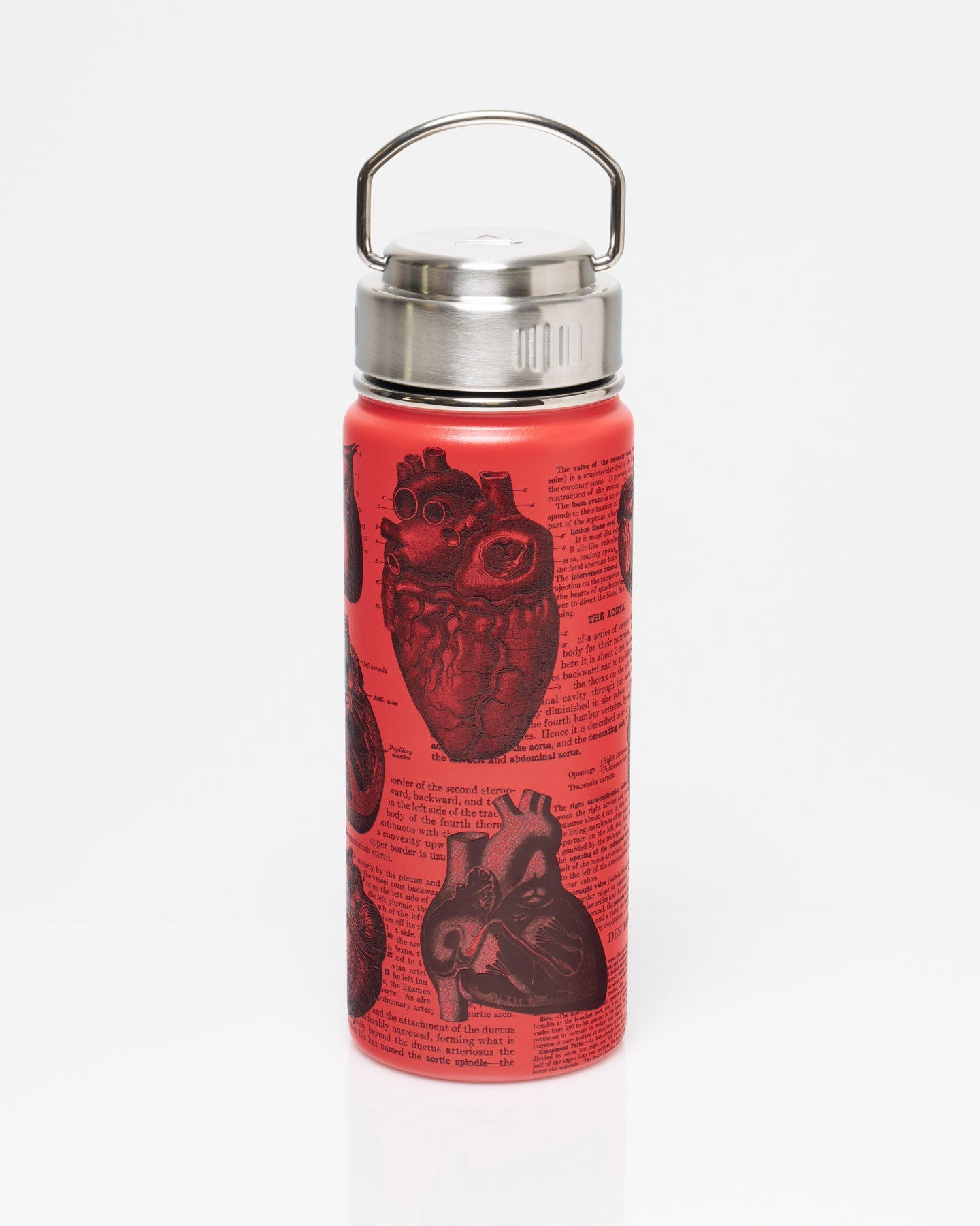 Anatomical Heart 18 oz Steel Bottle
