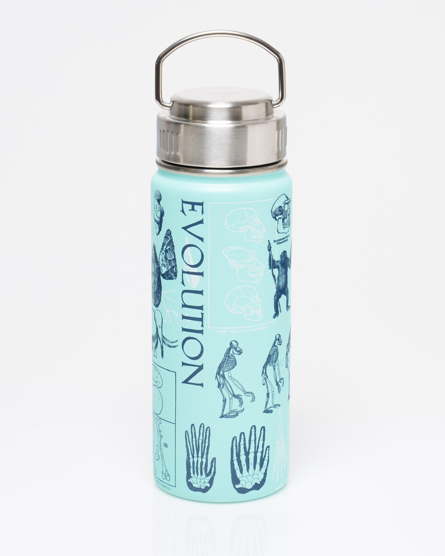 Human Evolution 18 oz Steel Bottle