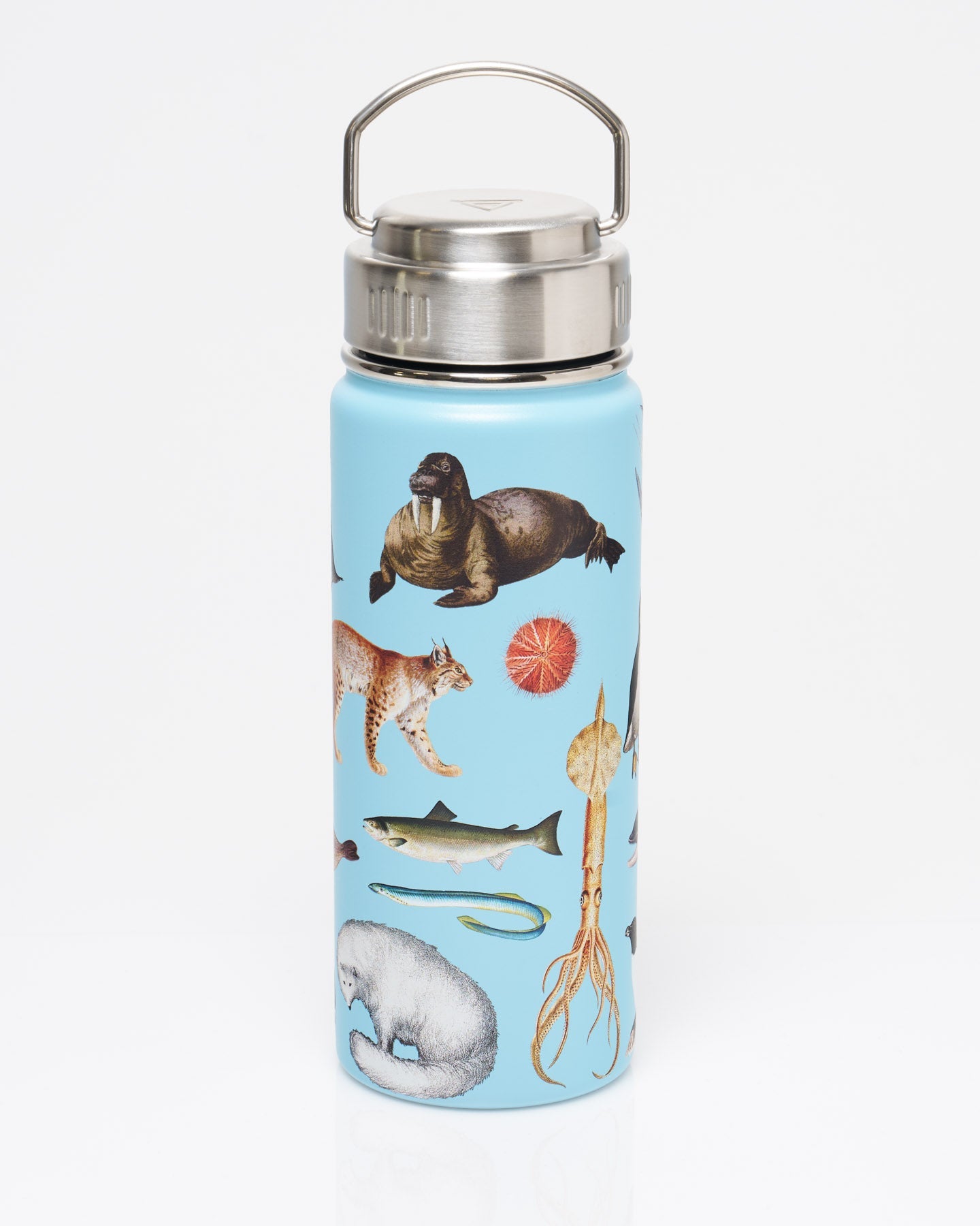Polar Zoology 18 oz Steel Bottle