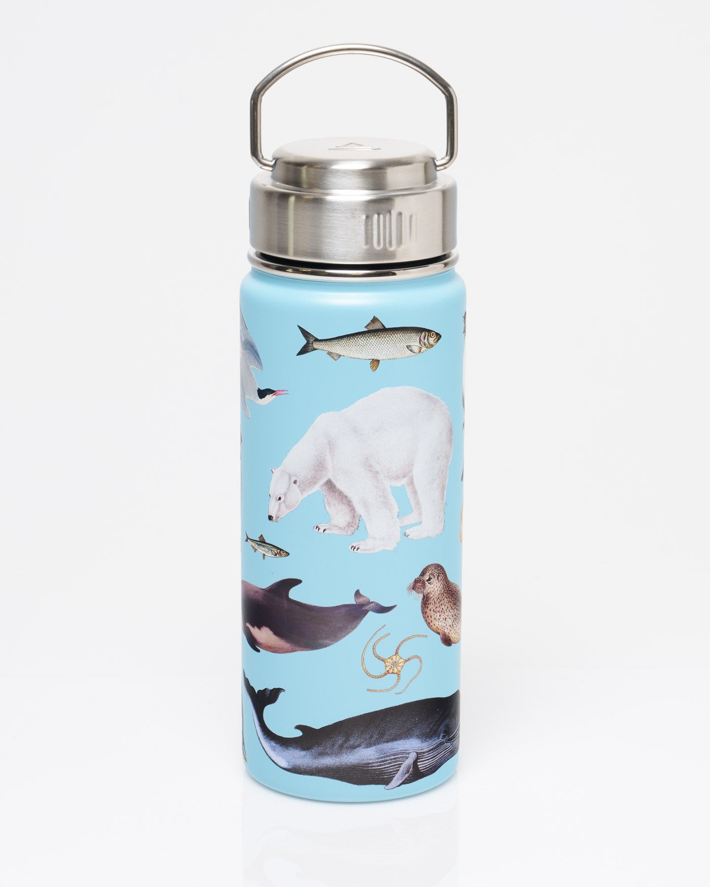 Polar Zoology 18 oz Steel Bottle