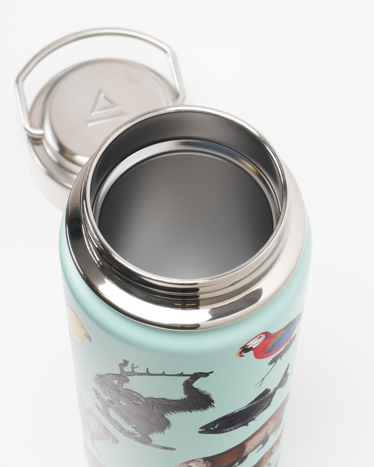 Rainforest Zoology 18 oz Steel Bottle