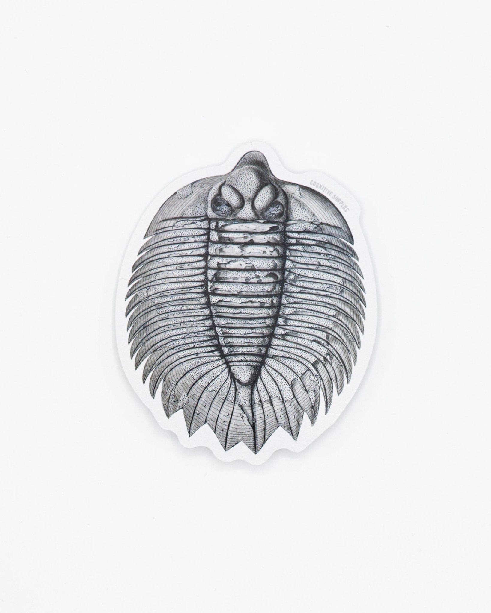 Trilobite-Fossil-Sticker-Cognitive-Surplus-280.jpg
