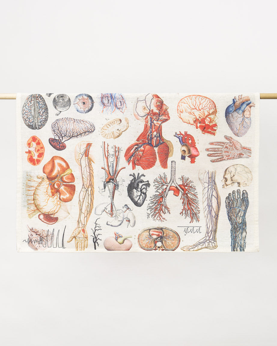 Anatomy Tea Towel