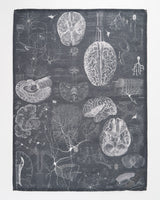 Brain & Neuroscience Science Tea Towel