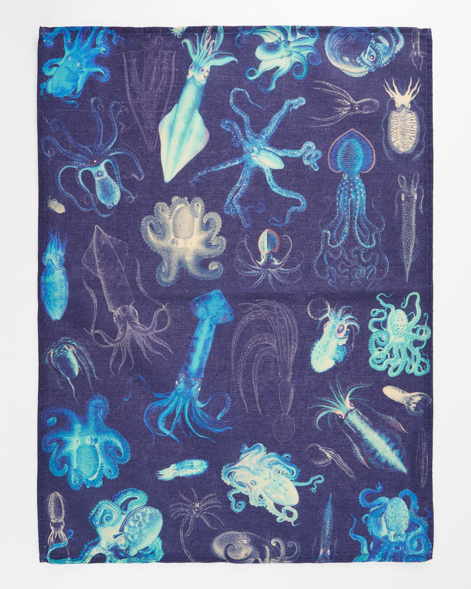 Octopus & Squid Tea Towel