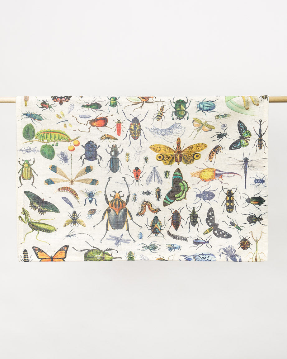 TtInsect_3_f38f2a5c-d45a-41b6-adbf-914bb52a140e.jpg