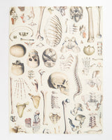Skeleton Tea Towel