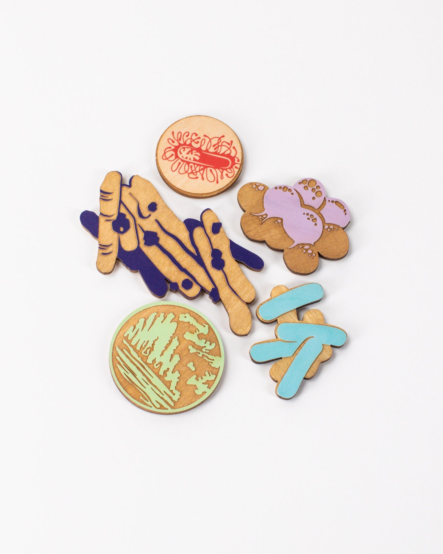 Antibiotic Resistant Bacteria Wooden Magnet Set