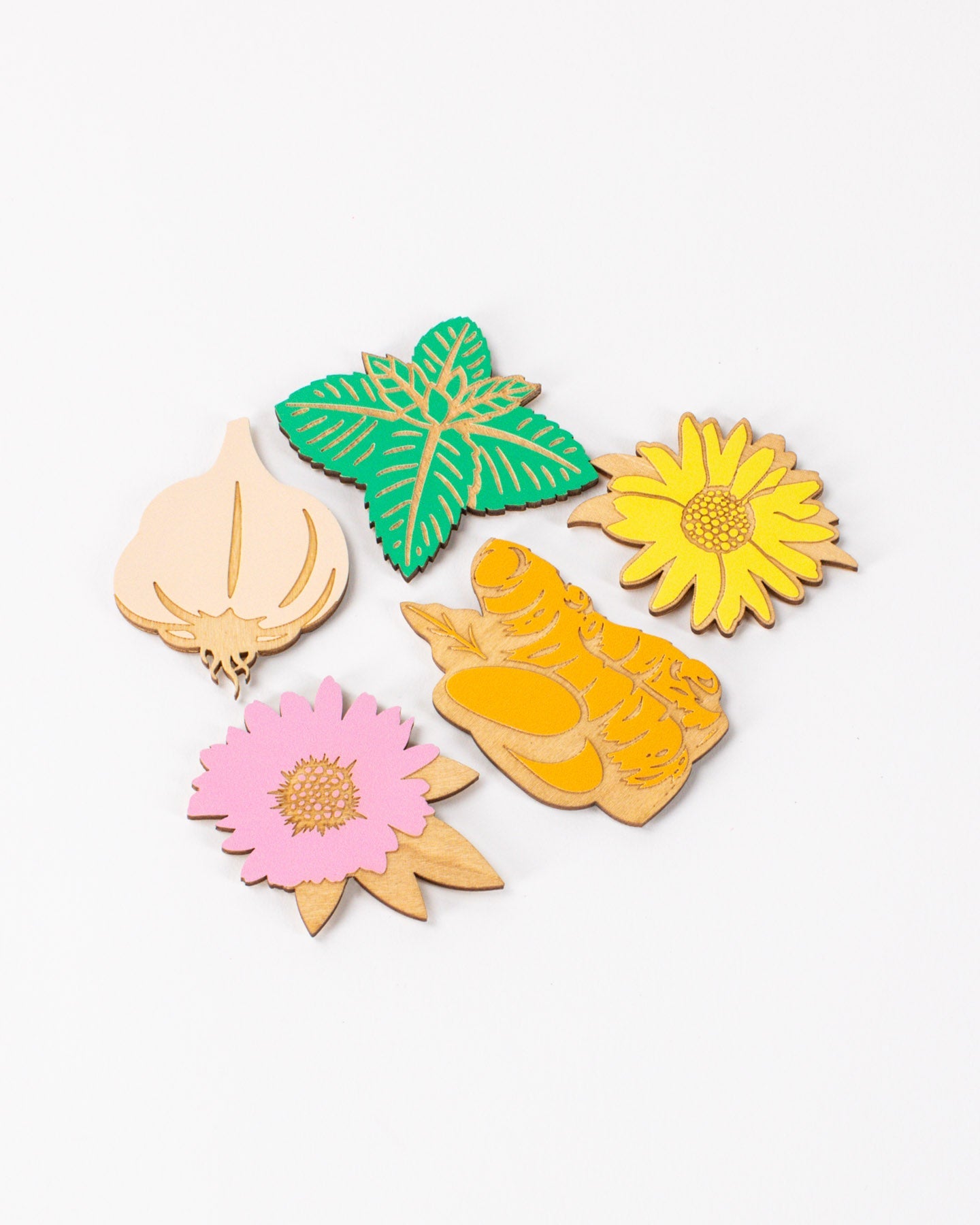 Botanical Pharmacy Wooden Magnet Set