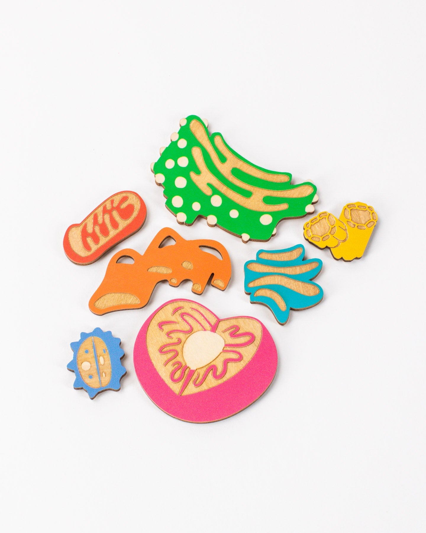 WmCell_1-Edit.jpg