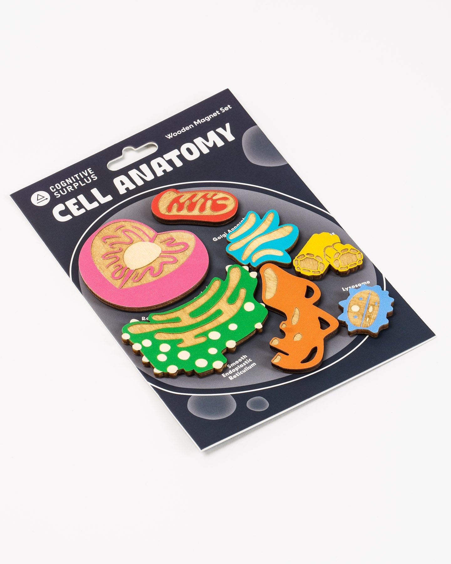 Cell Anatomy Wooden Magnet Set