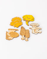 Edible Mushrooms Wooden Magnet Set