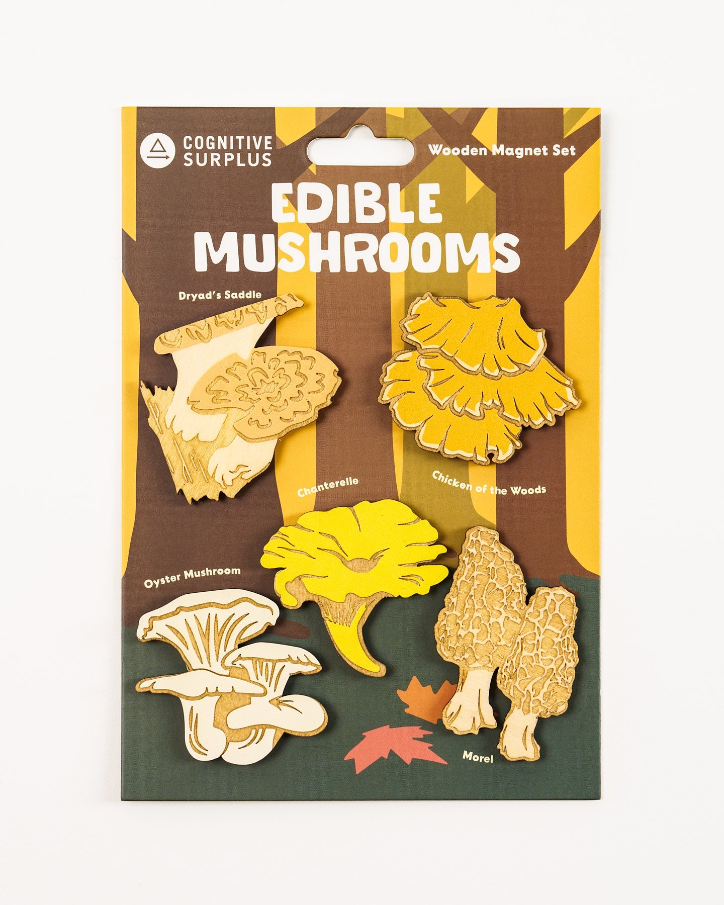 Edible Mushrooms Wooden Magnet Set