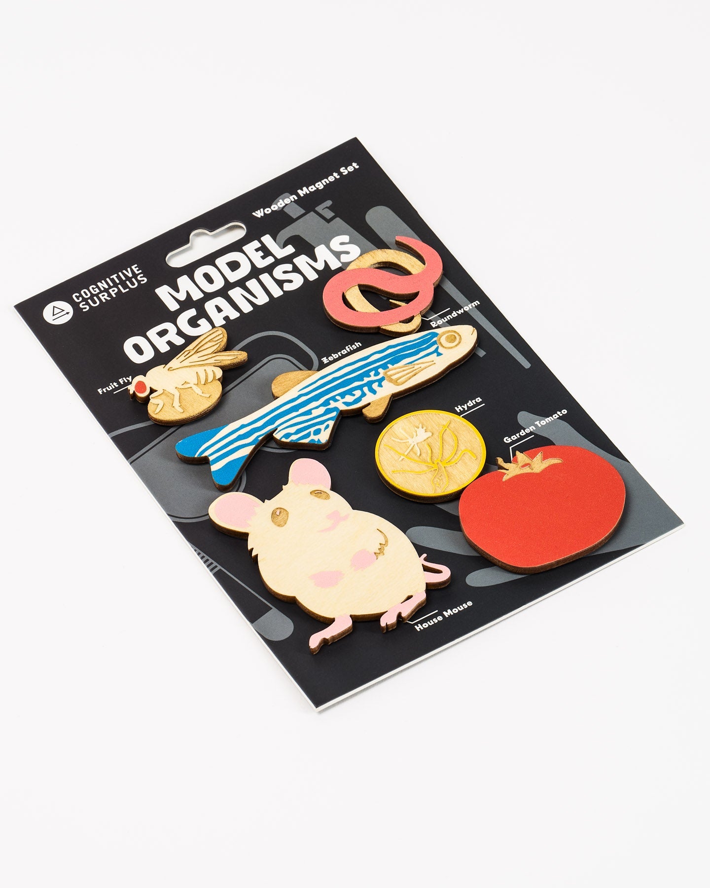 Model Organisms Wooden Magnet Set
