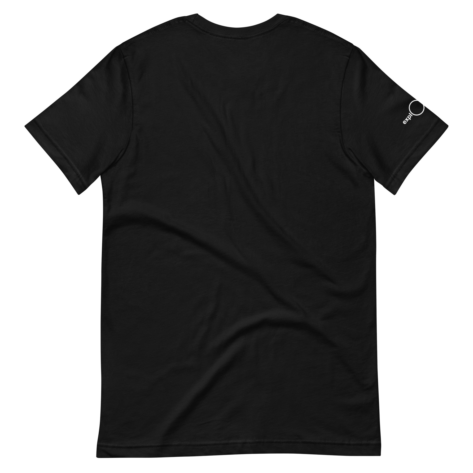 unisex-staple-t-shirt-black-back-660f09a325282.jpg