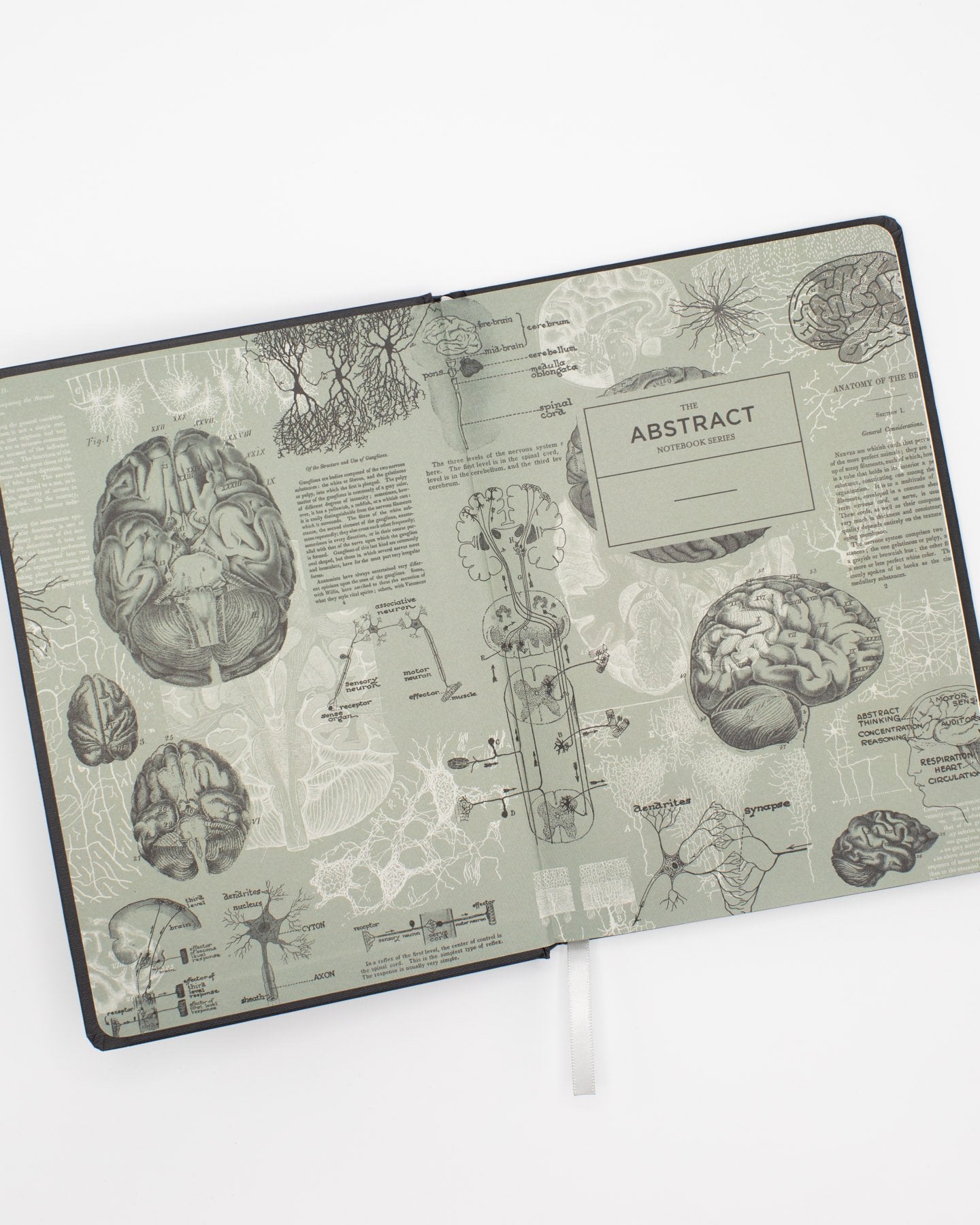 Brain Science A5 Hardcover - Graphite