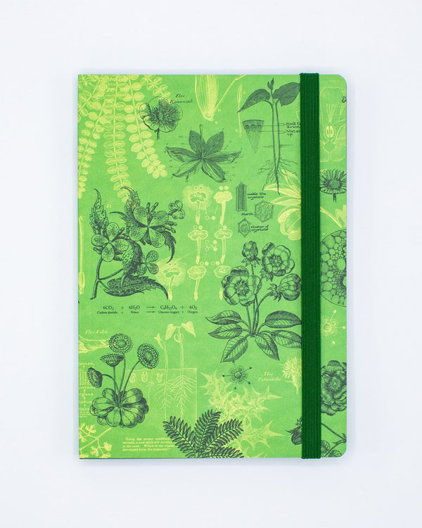 Botanical Reverie A5 Softcover