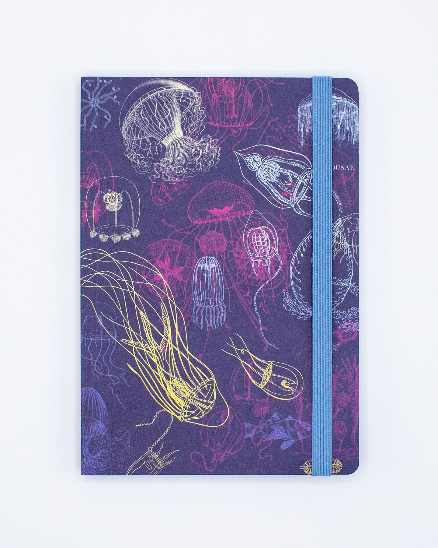 Go With the Flow Jellyfish A5 Softcover