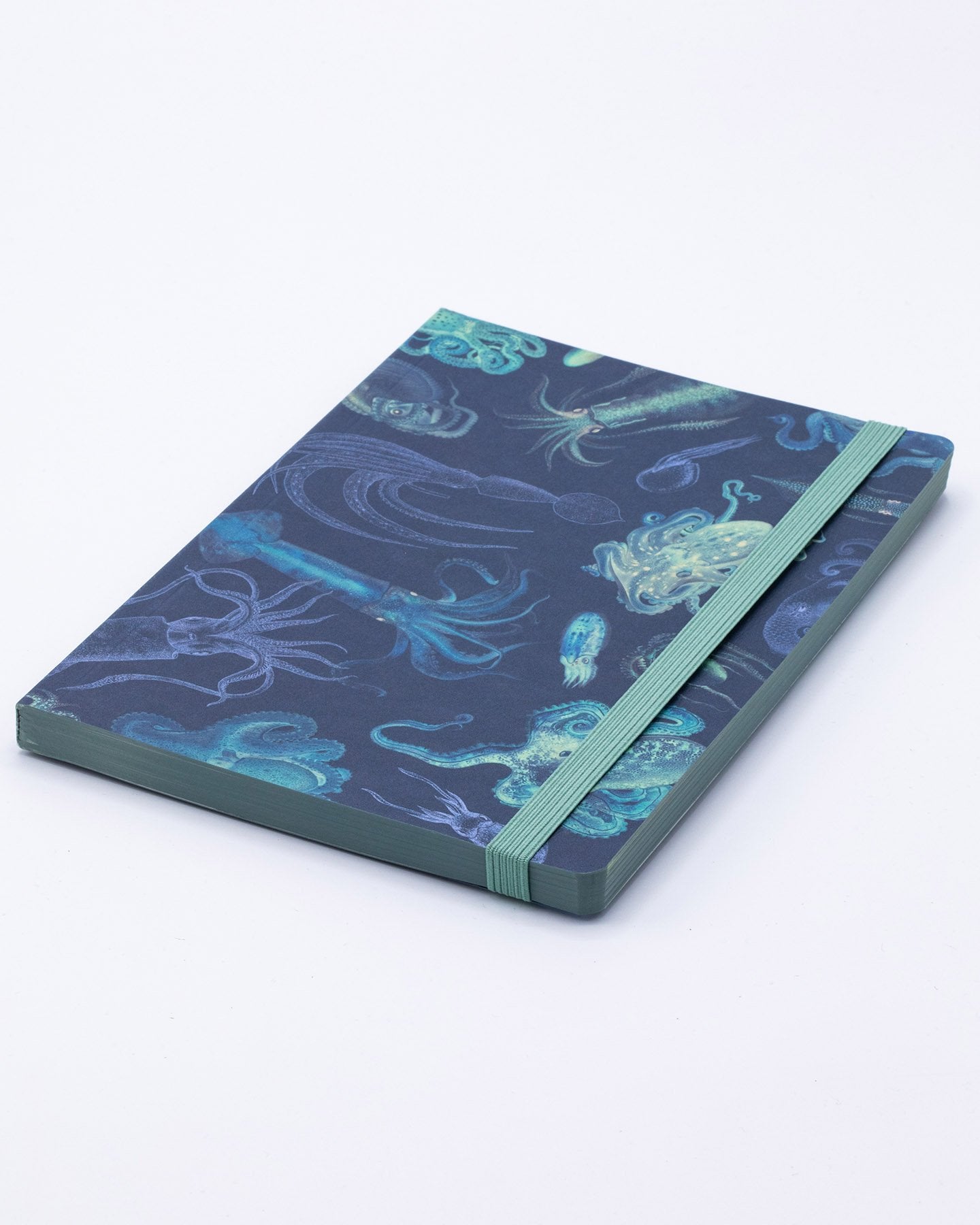 Sea Monsters: Octopus & Squid A5 Softcover