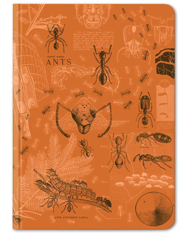 Ants mini hardcover dot grid notebook by Cognitive Surplus, 100% recycled paper, orange