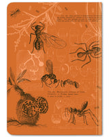 Back cover of Ants mini hardcover dot grid notebook by Cognitive Surplus, 100% recycled paper, orange