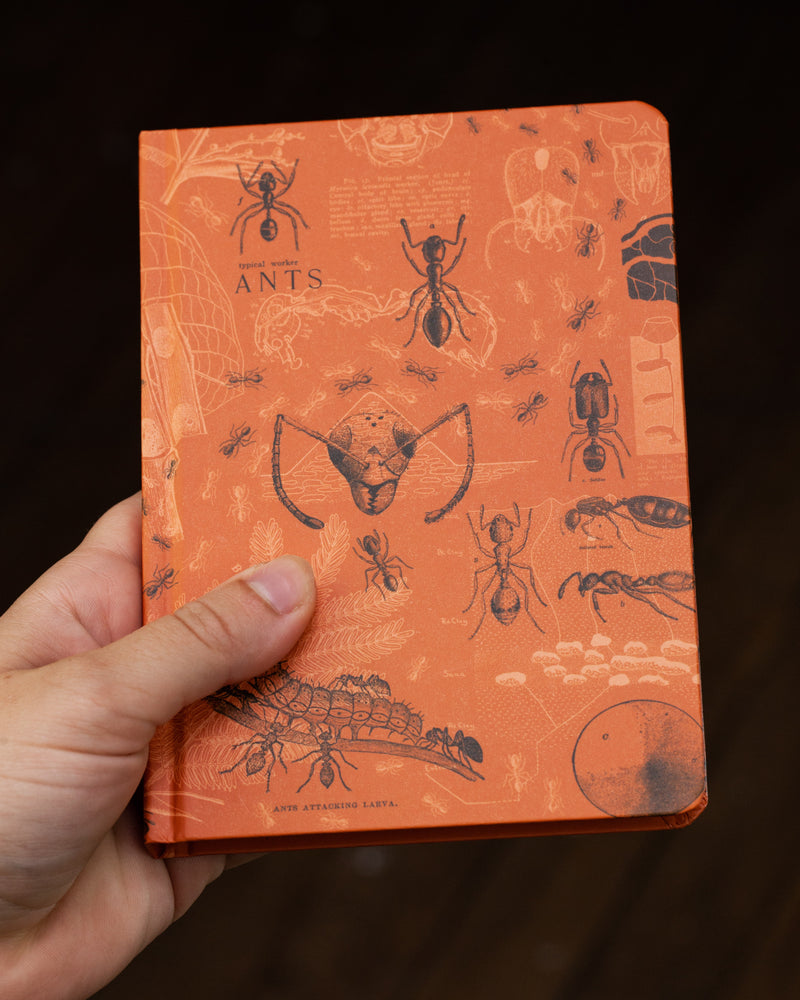 Ants mini hardcover notebook by Cognitive Surplus, pictured in hand