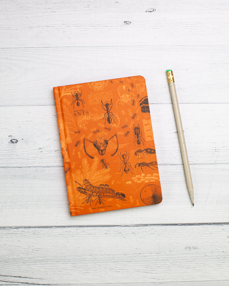 ants mini hardcover recycled notebook by cognitive surplus