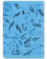 Back cover of Birds ornithology mini hardcover dot grid notebook by Cognitive Surplus, 100% recycled paper, sky blue