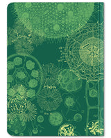 Back cover of Cellular Biology mini hardcover dot grid notebook by Cognitive Surplus, green and yellow, 100% recycled paper