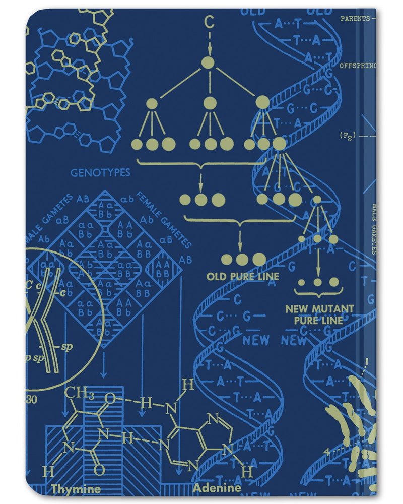 Back cover of Genetics mini hardcover dot grid notebook by Cognitive Surplus, royal blue and marigold yellow, 100% recycled paper