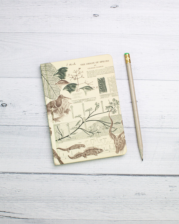 Evolution mini hardcover recycled notebook by cognitive surplus