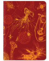 Microbiology mini hardcover dot grid notebook by Cognitive Surplus, bright red and gold, 100% recycled paper