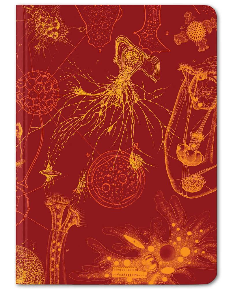 Microbiology mini hardcover dot grid notebook by Cognitive Surplus, bright red and gold, 100% recycled paper