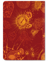 Back cover of Microbiology mini hardcover dot grid notebook by Cognitive Surplus, bright red and gold, 100% recycled paper