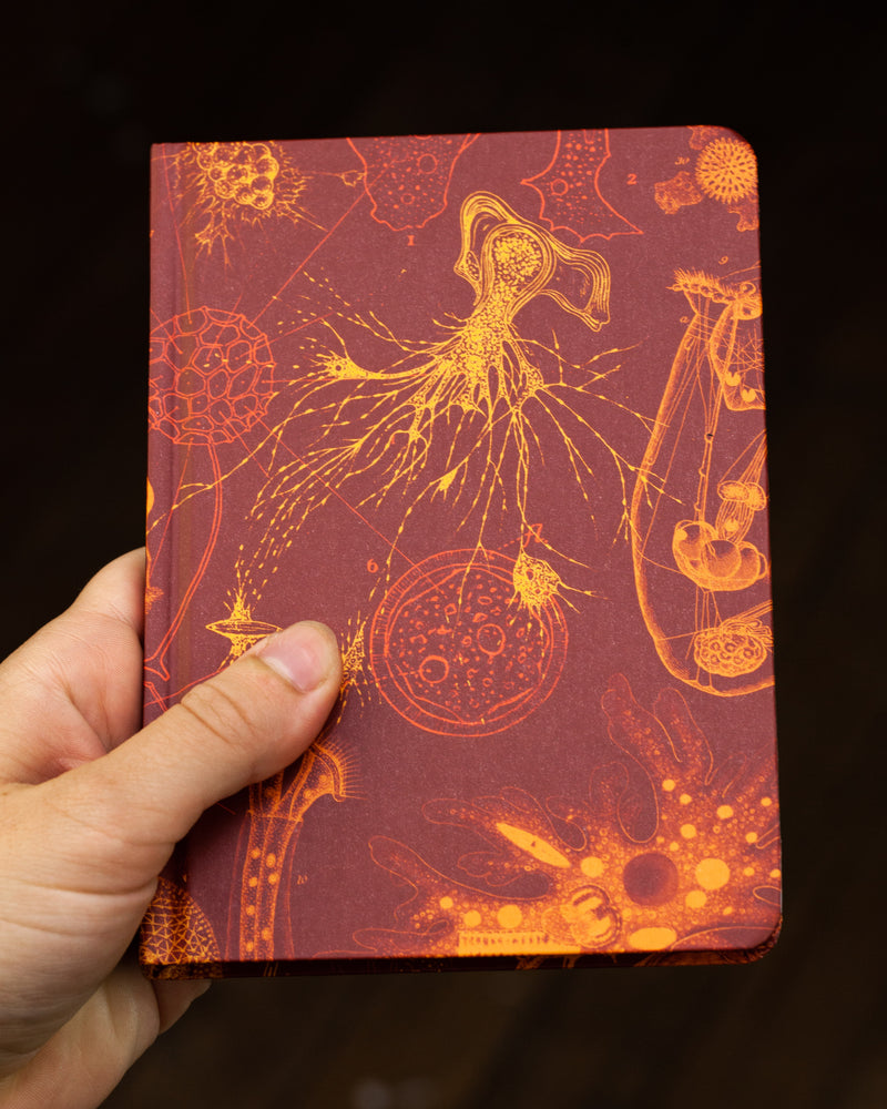 Microbiology mini hardcover notebook by Cognitive Surplus, pictured in hand