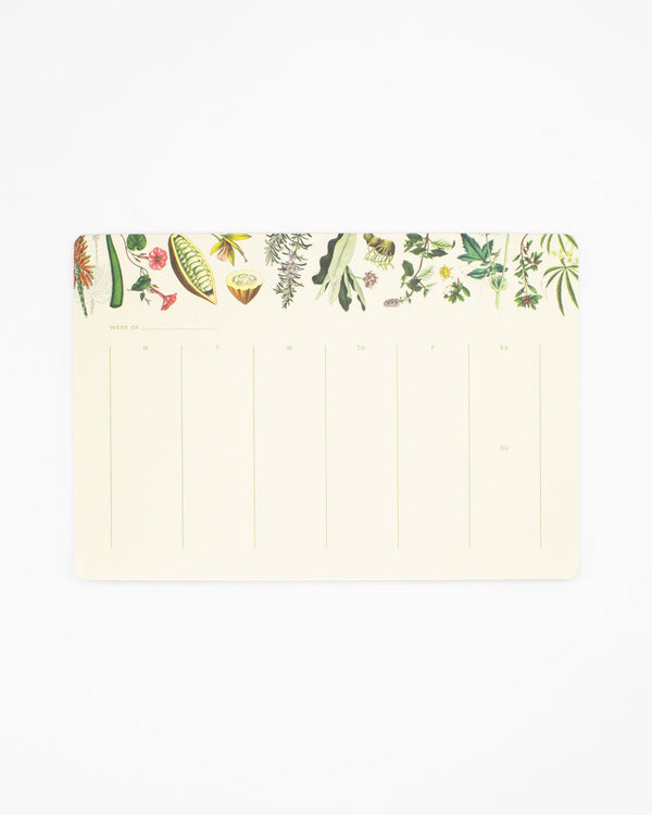 Medicinal Botany Notepads