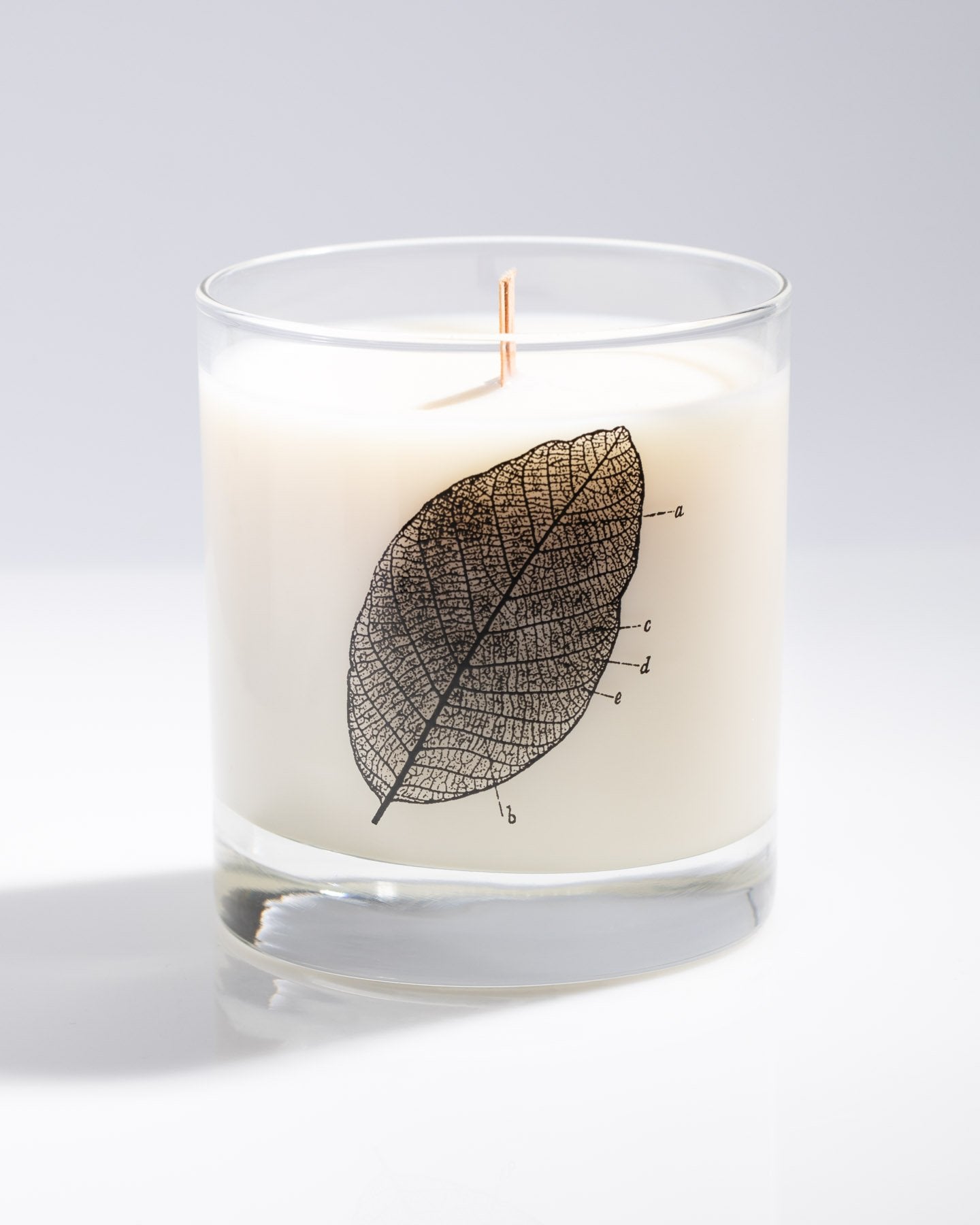 Leaf Diagram Cocktail Candle