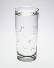 Chemistry of Water Tumbler Glass