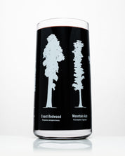 Forest Giants Drinking Glass