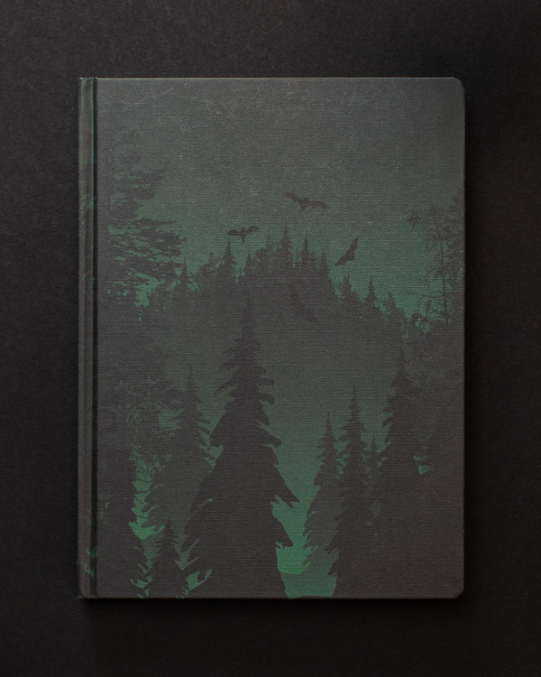 Twilight in the Evergreen Forest Dark Matter Notebook