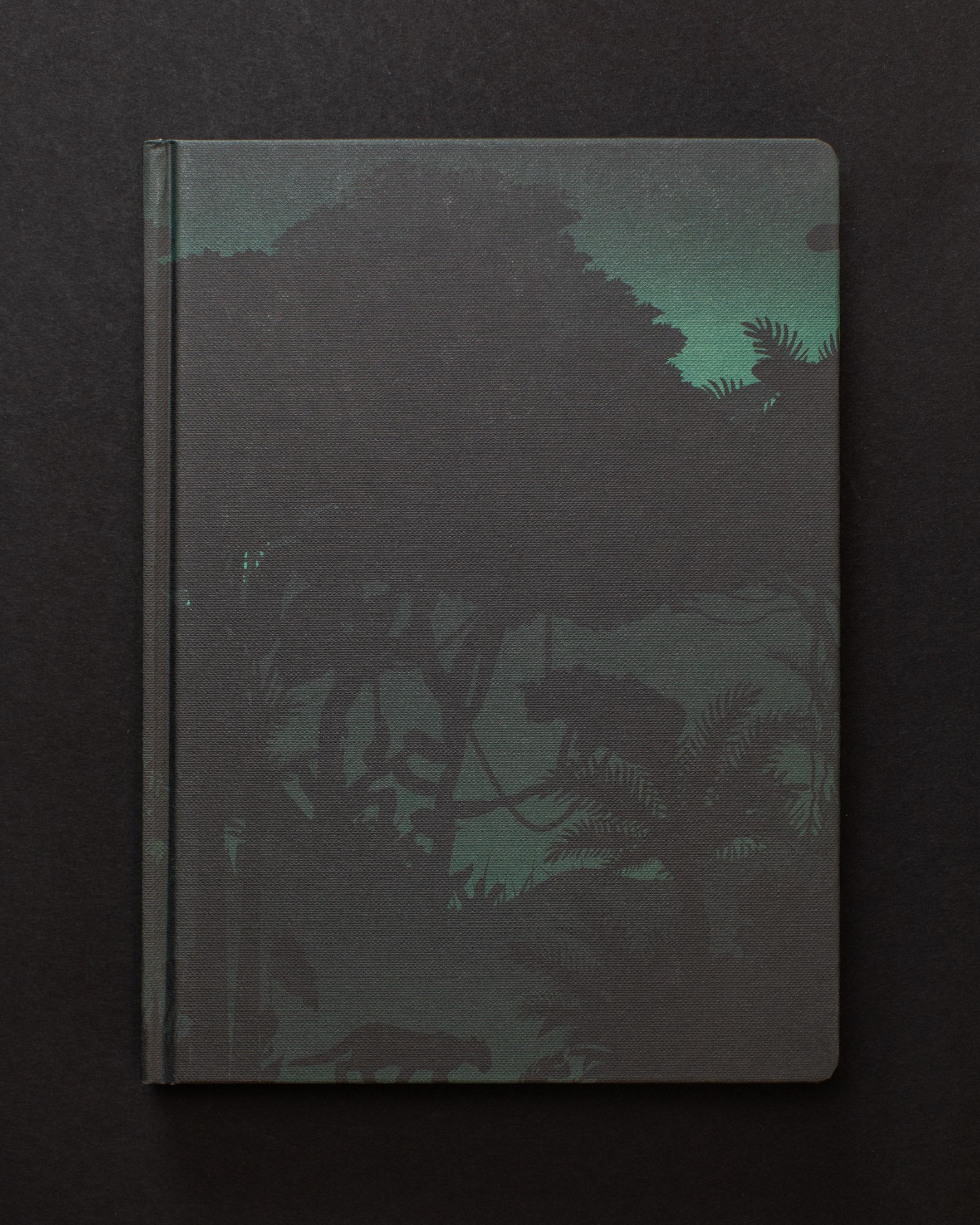 Nightfall in the Jungle Dark Matter Notebook