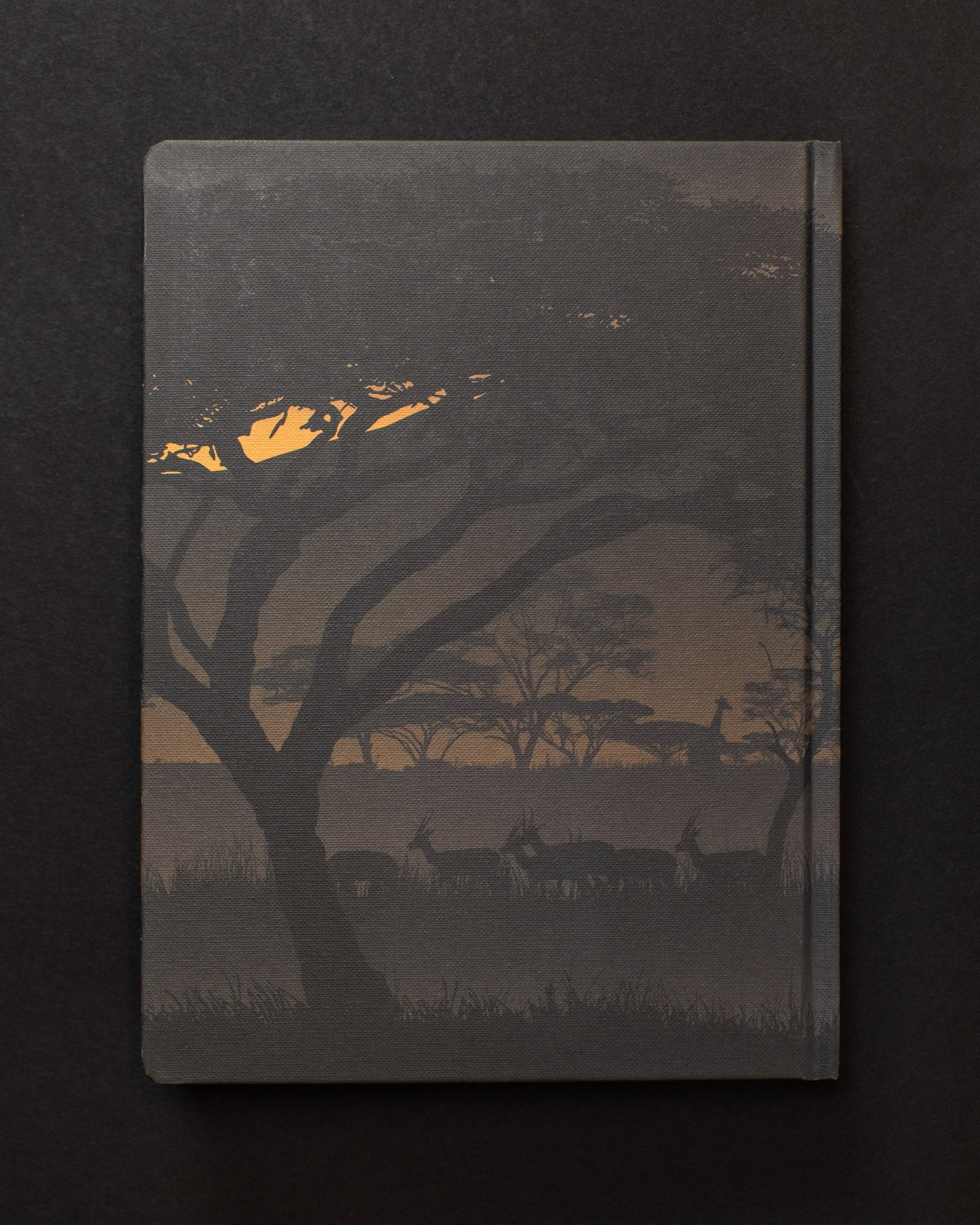 Savanna at Dusk Dark Matter Notebook