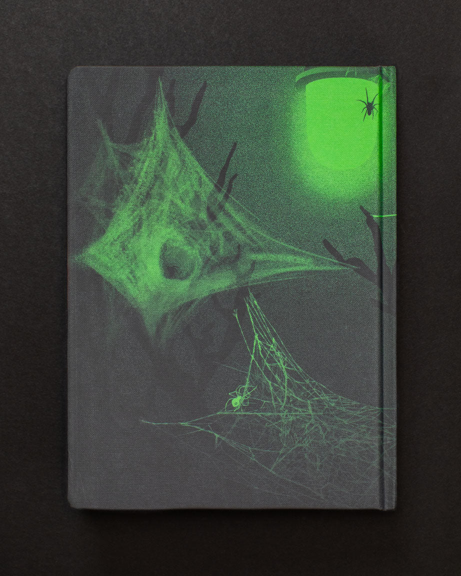 Spiders & Webs Dark Matter Notebook