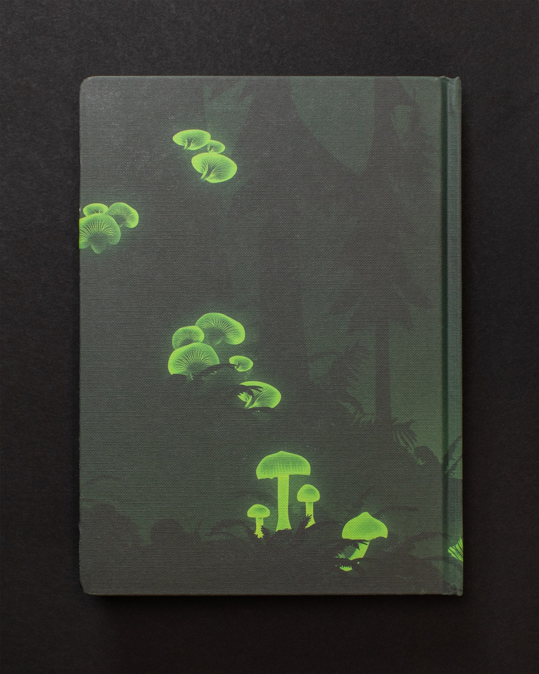 Bioluminescent Mushrooms Dark Matter Notebook